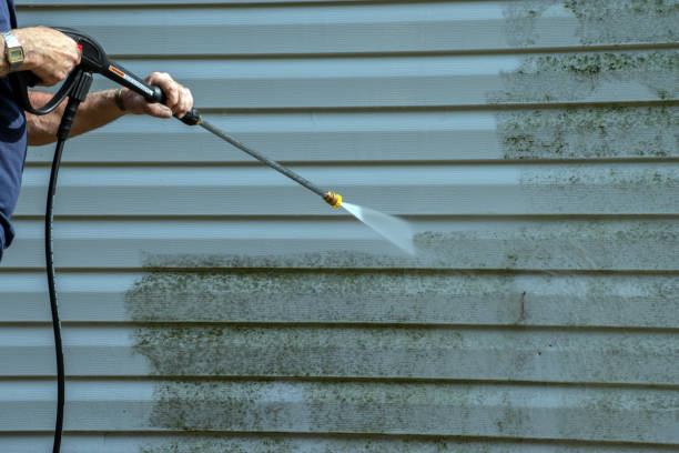 Best Residential Pressure Washing Services  in Le Roy, IL